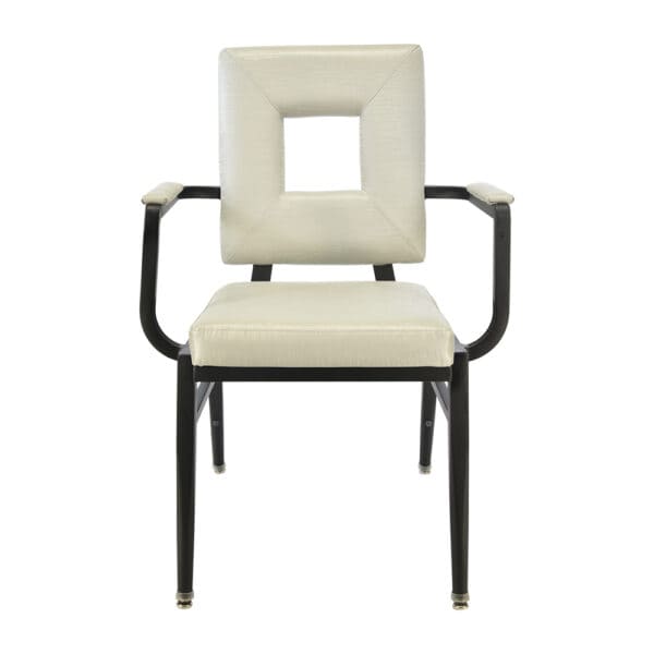 Skylight Arm Chair - CA-3906-A