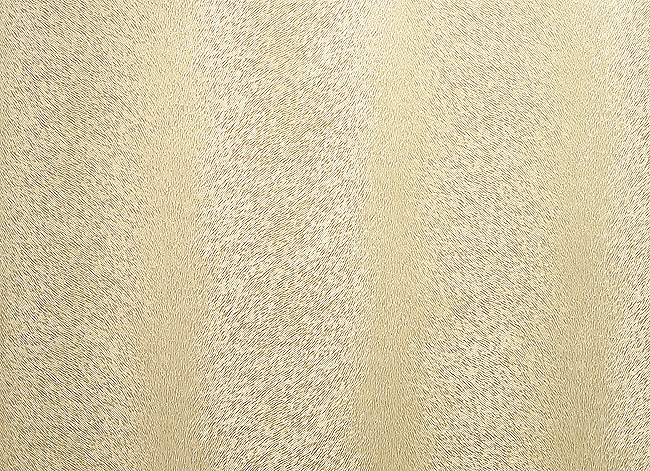 DVC - Luminary Sand