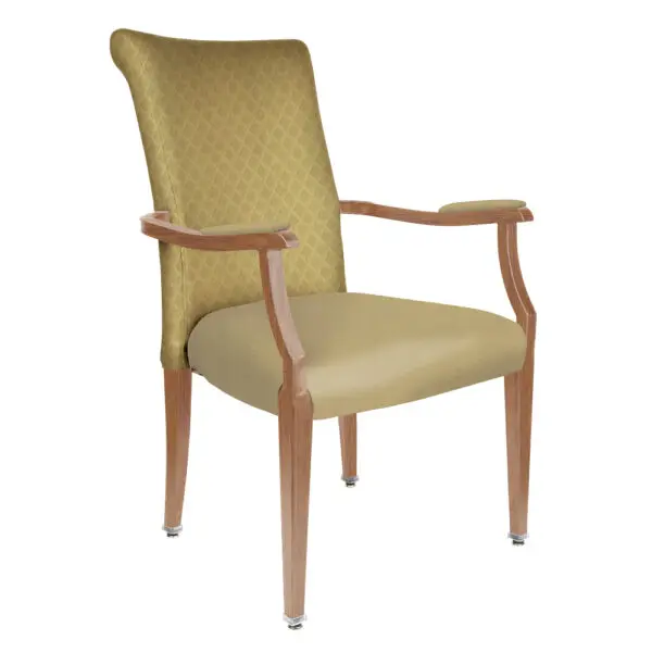 Valdez Arm Chair - CA-3849-A-QS1- # 26