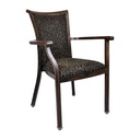 Colt Arm Chair - CA-3884-A