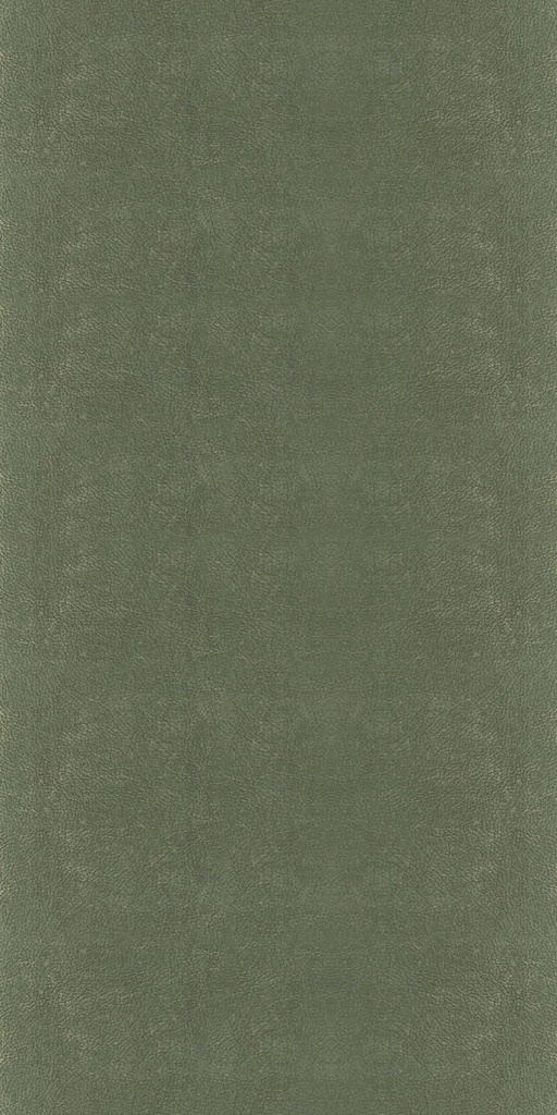CLEANICK-511111
