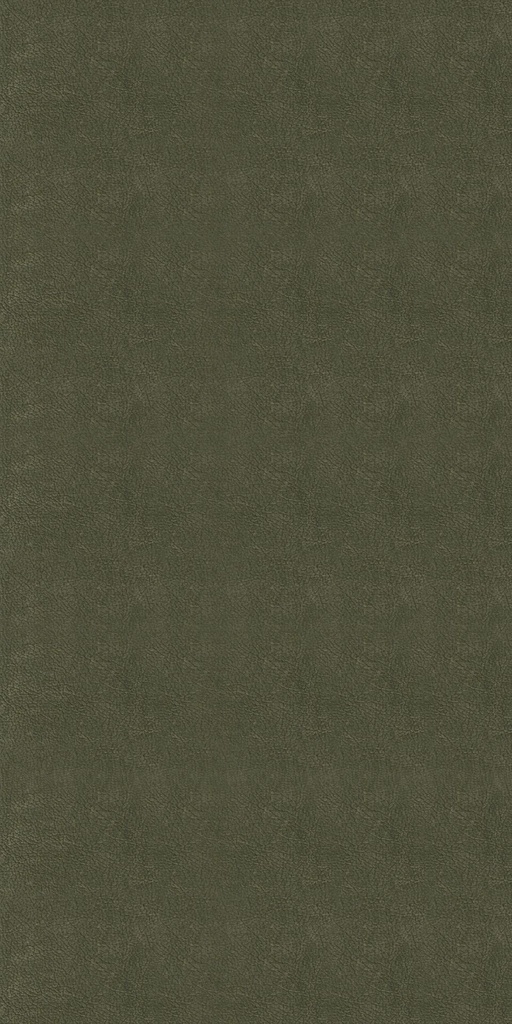 CLEANTEX-593754