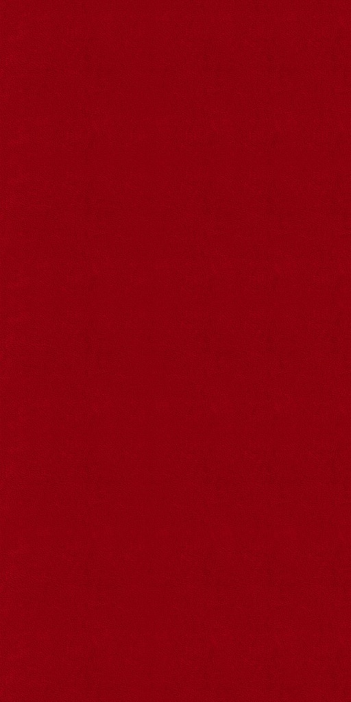 CLEANTEX-593758