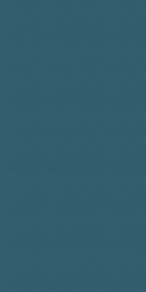 CLEANTEX-593789