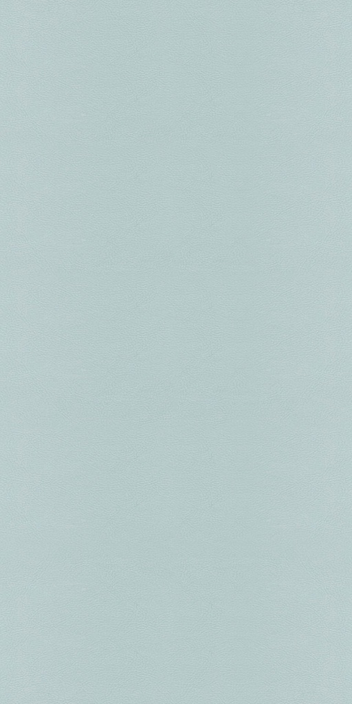CLEANTEX-593791