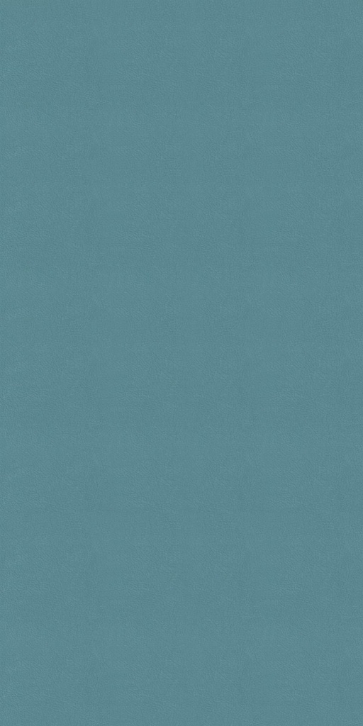 CLEANTEX-593795