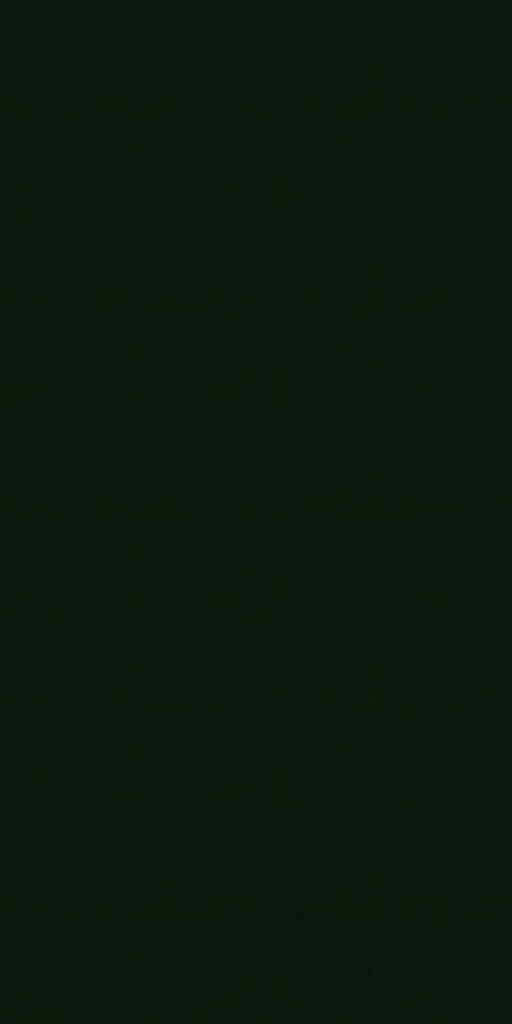 ORIENT-19