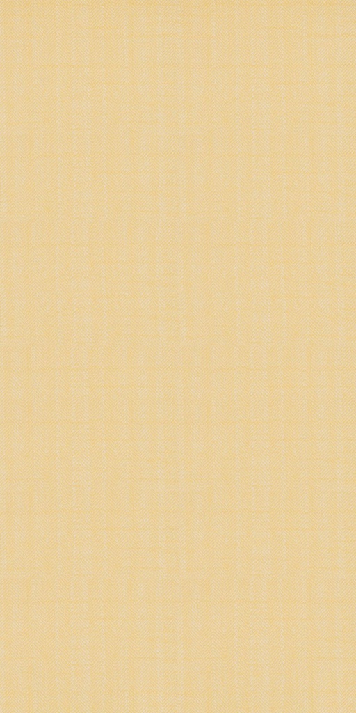 AMAZON-08