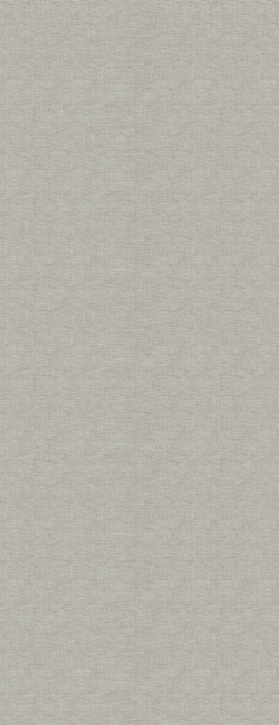 CANVAS-04