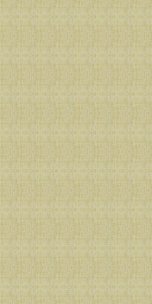 CANVAS-09