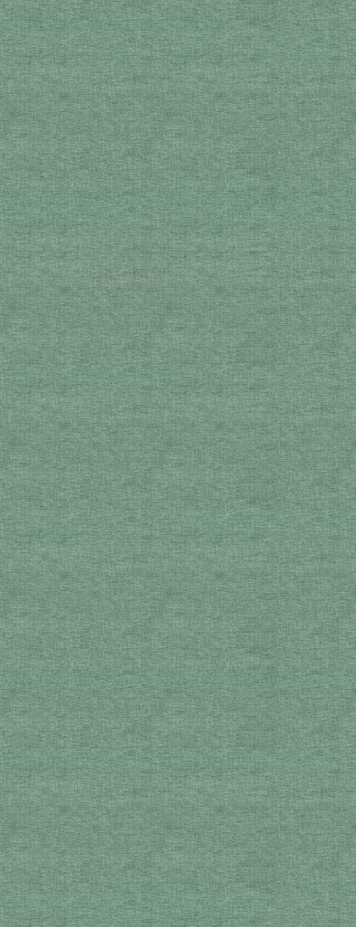 CANVAS-11