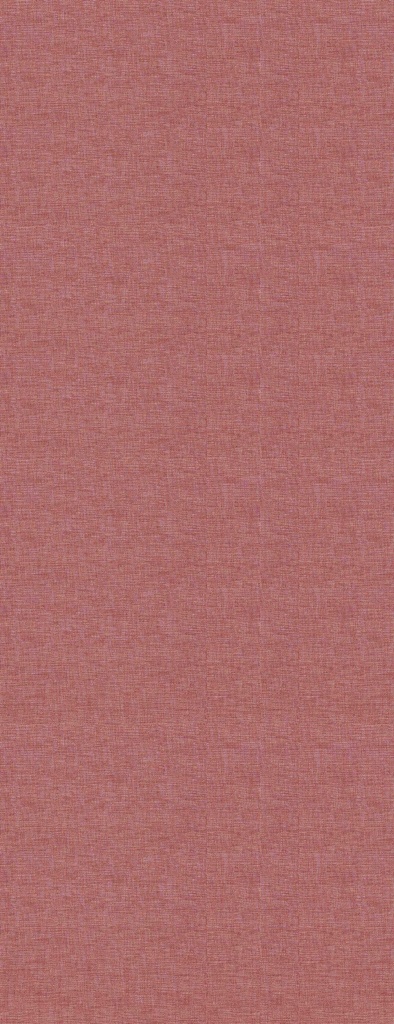 CANVAS-13