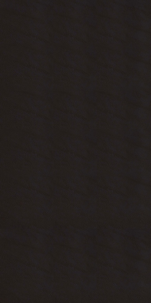 DOLPHIN-06