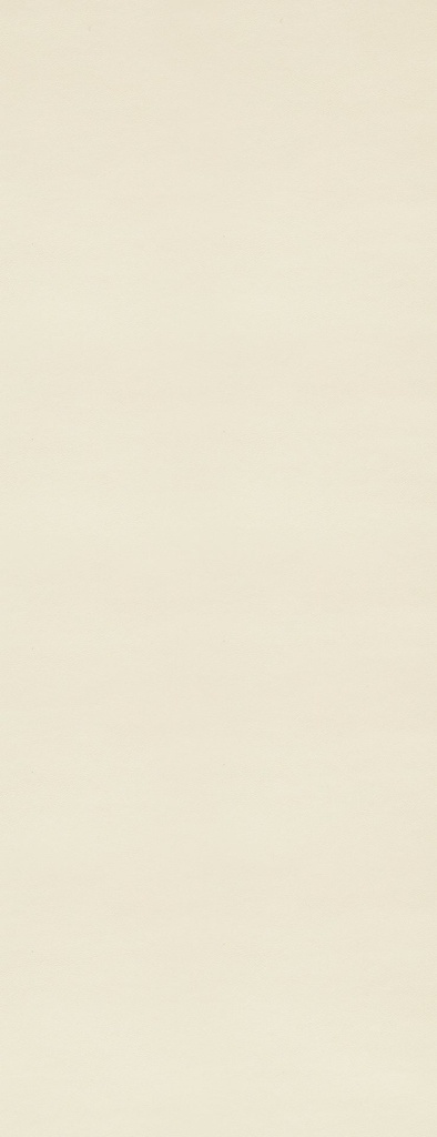 SUEDE PU-03
