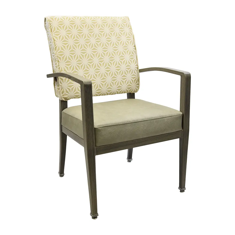 Illinois Arm Chair - CA-3833-A-SAMPLE