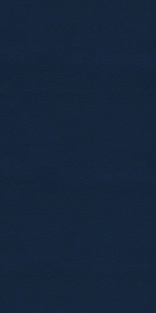 144-1-Umass-27-Vinyl