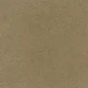 Bronze #15 {L}