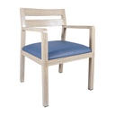 Neptune Arm Chairs - CA-4016-A