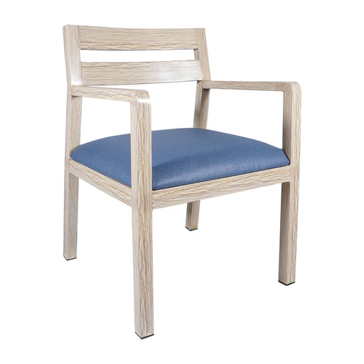 Neptune Arm Chairs - CA-4016-A