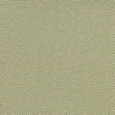 Peter Test Fabric