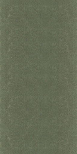 CLEANICK-511111