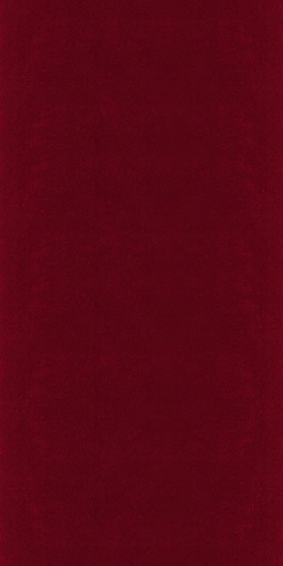 CLEANICK-511112