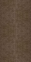 ANTIQUE-01
