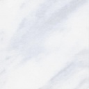 Metal Finish Swatch - Weathered White #83 {WG}