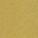 Metal Finish Swatch - Champagne #9 {L}