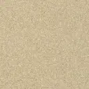 Metal Finish Swatch - Chardonnay #8 {L}